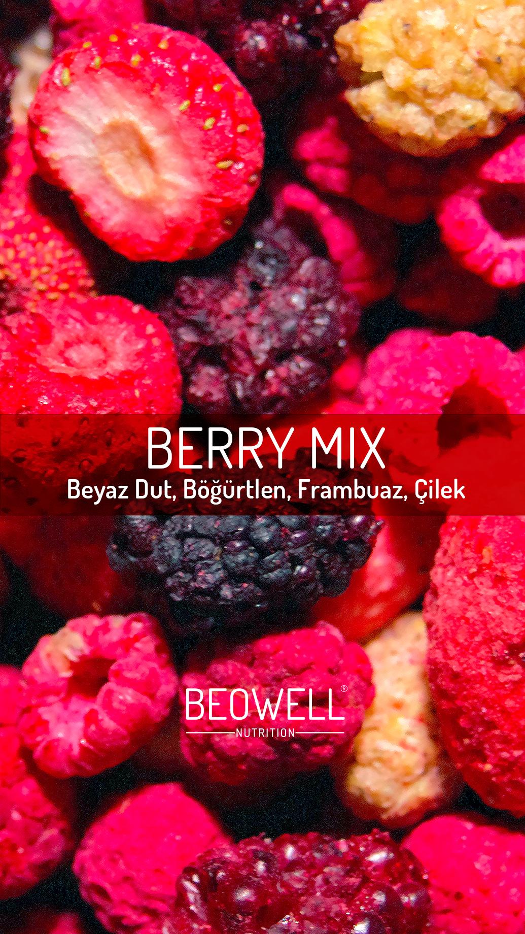 BEOWELL NUTRITION - BERRY MIX