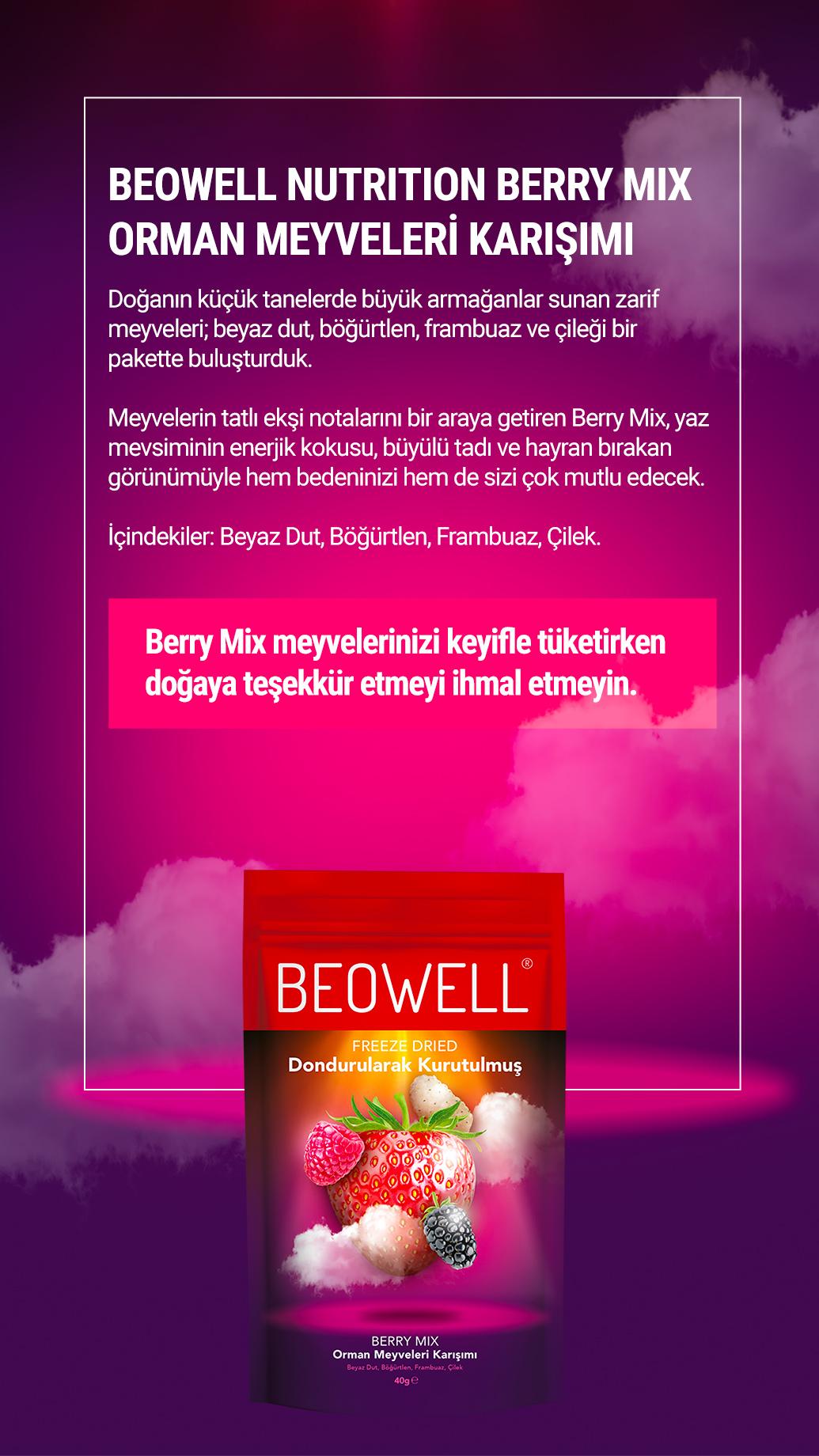 BEOWELL%20NUTRITION%20-%20BERRY%20MIX