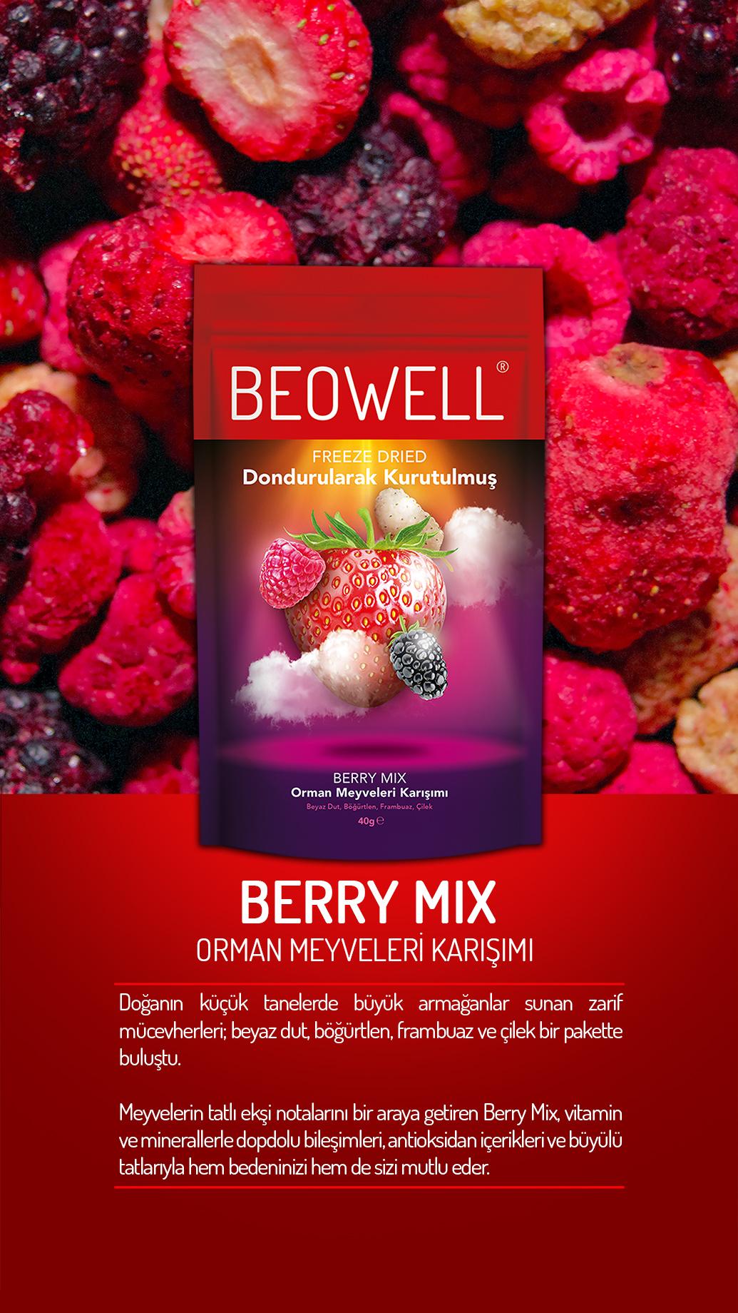 BEOWELL%20NUTRITION%20-%20BERRY%20MIX