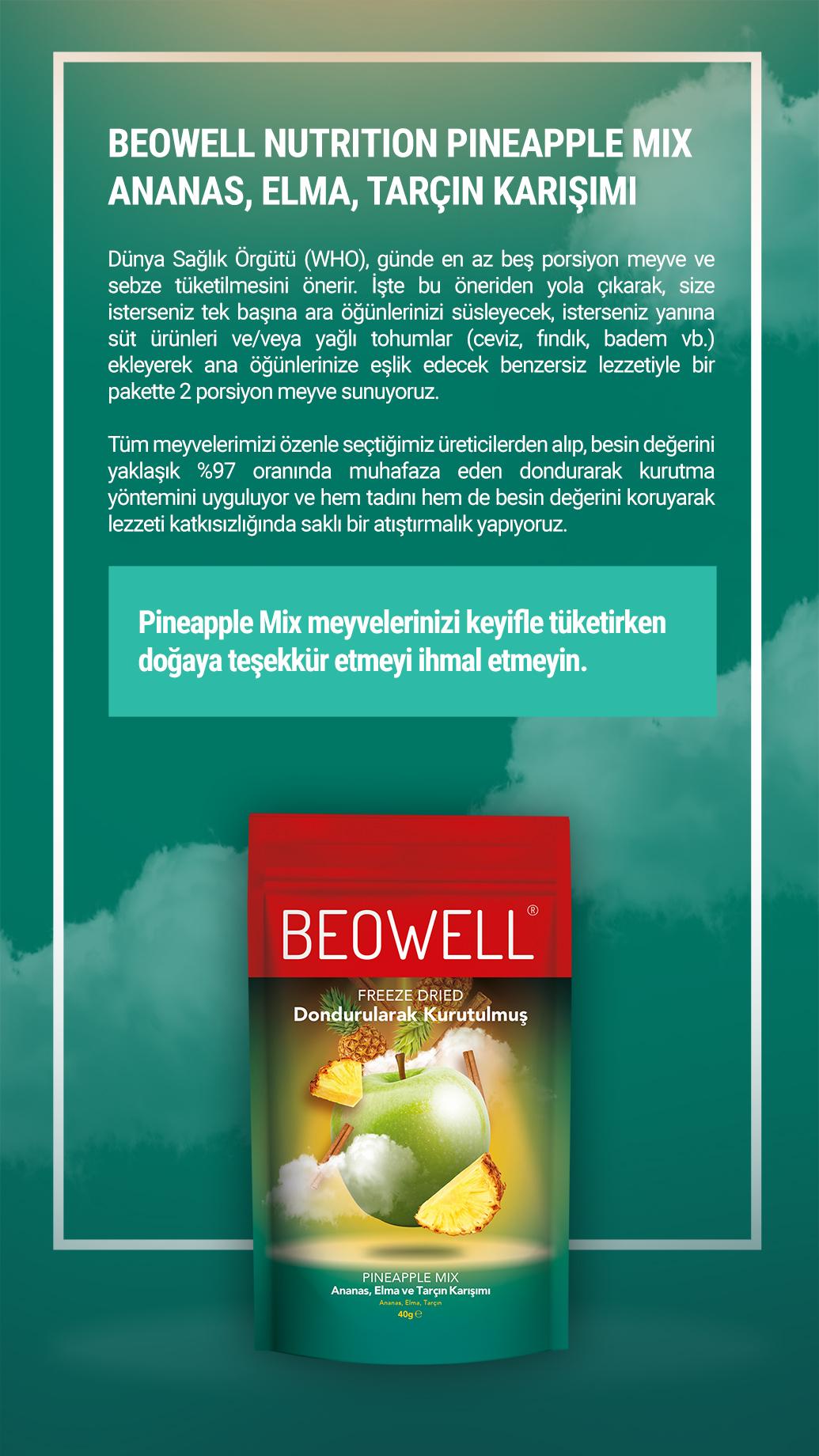 BEOWELL%20NUTRITION%20-%20PINEAPPLE%20MIX