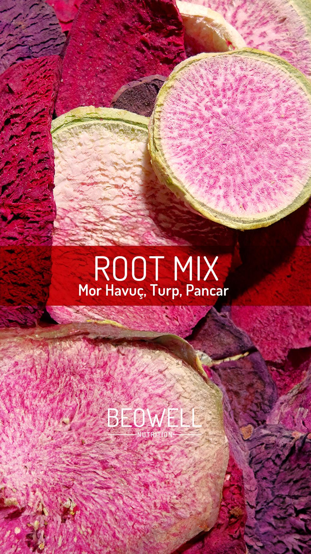 ROOT MIX | Mor Havuç, Turp ve Pancar Karışımı |