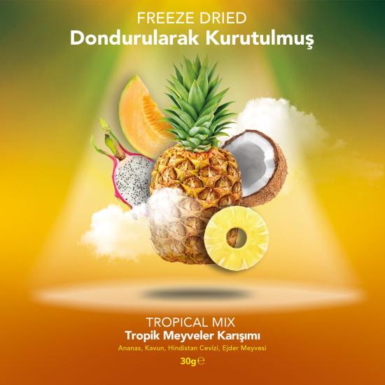 TROPICAL MIX | Ananas, Kavun, Hindistan Cevizi ve Ejder Meyvesi Karışımı |