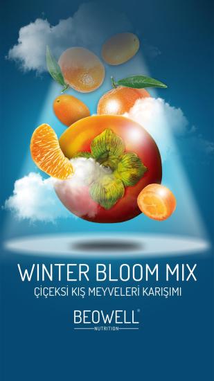 Winter Bloom Mix