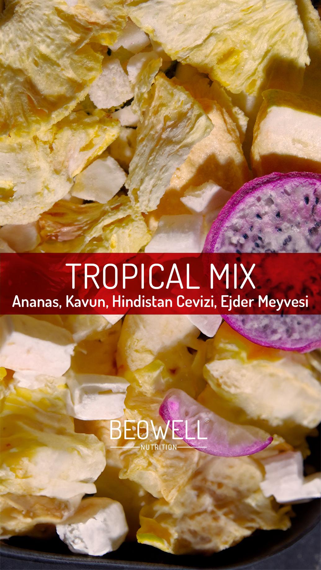 TROPICAL MIX | Ananas, Kavun, Hindistan Cevizi ve Ejder Meyvesi Karışımı |